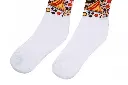 TOWEL BOTTOM SOCKS3.webp